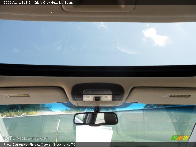 Grigio Gray Metallic / Ebony 2009 Acura TL 3.5