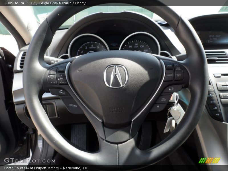 Grigio Gray Metallic / Ebony 2009 Acura TL 3.5