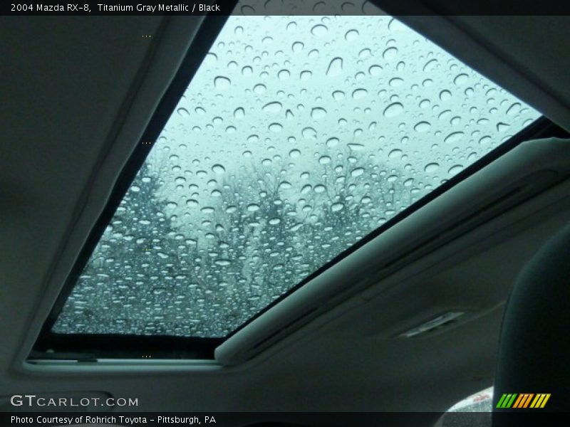 Titanium Gray Metallic / Black 2004 Mazda RX-8