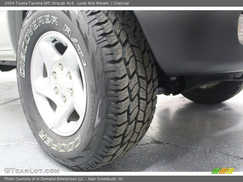 Lunar Mist Metallic / Charcoal 2004 Toyota Tacoma SR5 Xtracab 4x4