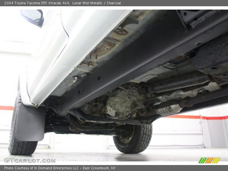 Lunar Mist Metallic / Charcoal 2004 Toyota Tacoma SR5 Xtracab 4x4