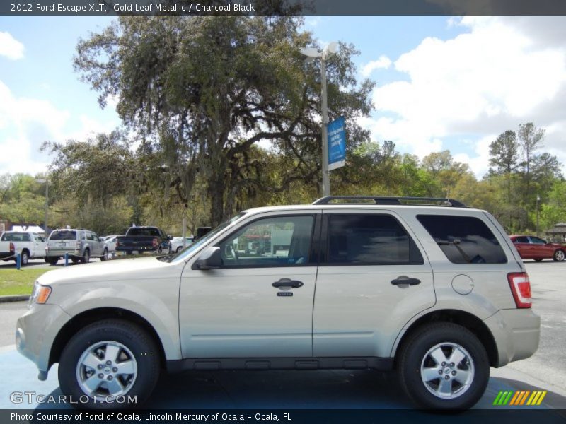 Gold Leaf Metallic / Charcoal Black 2012 Ford Escape XLT