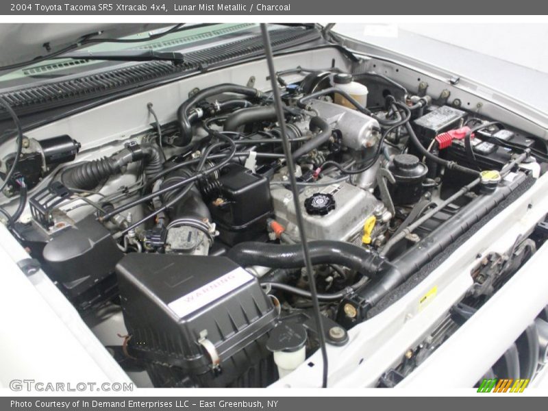 Lunar Mist Metallic / Charcoal 2004 Toyota Tacoma SR5 Xtracab 4x4