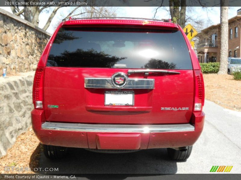 Infrared / Ebony 2010 Cadillac Escalade AWD