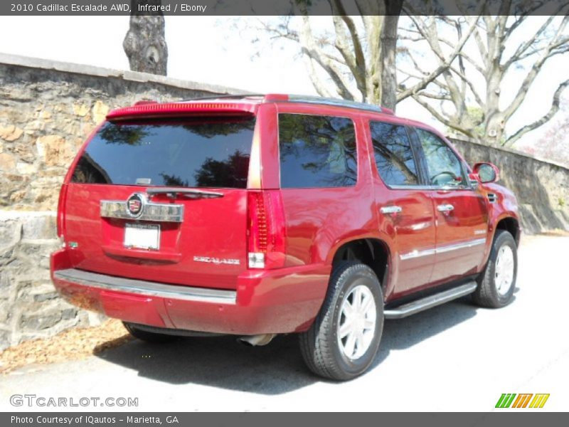 Infrared / Ebony 2010 Cadillac Escalade AWD