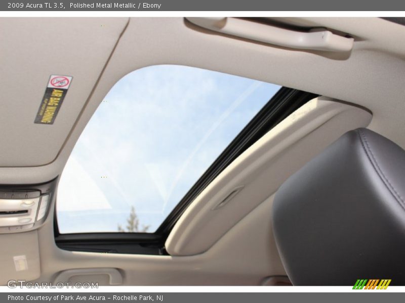 Polished Metal Metallic / Ebony 2009 Acura TL 3.5