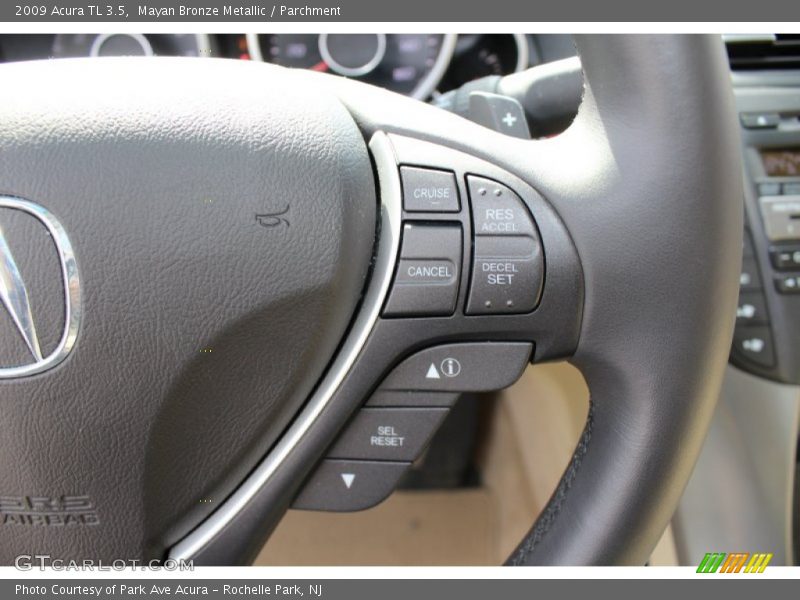 Mayan Bronze Metallic / Parchment 2009 Acura TL 3.5