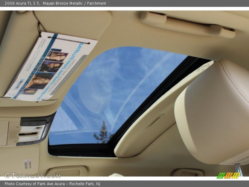 Mayan Bronze Metallic / Parchment 2009 Acura TL 3.5