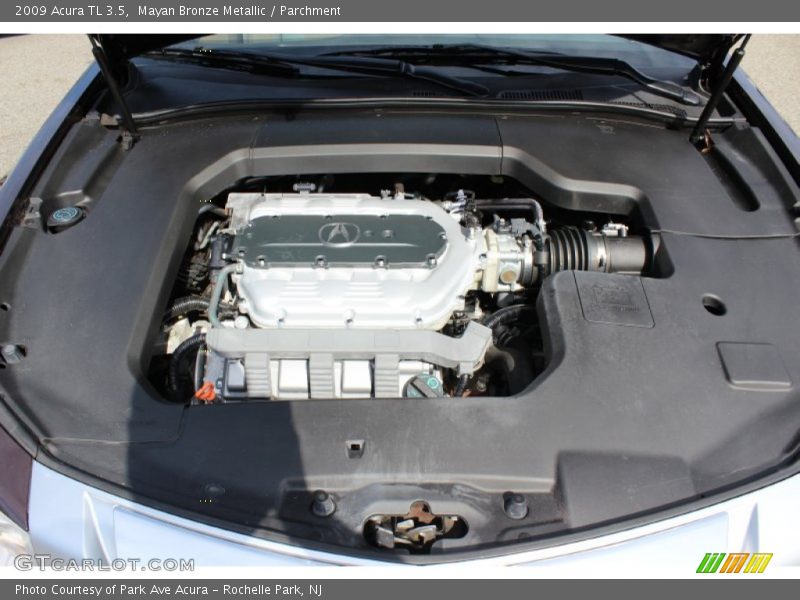 Mayan Bronze Metallic / Parchment 2009 Acura TL 3.5