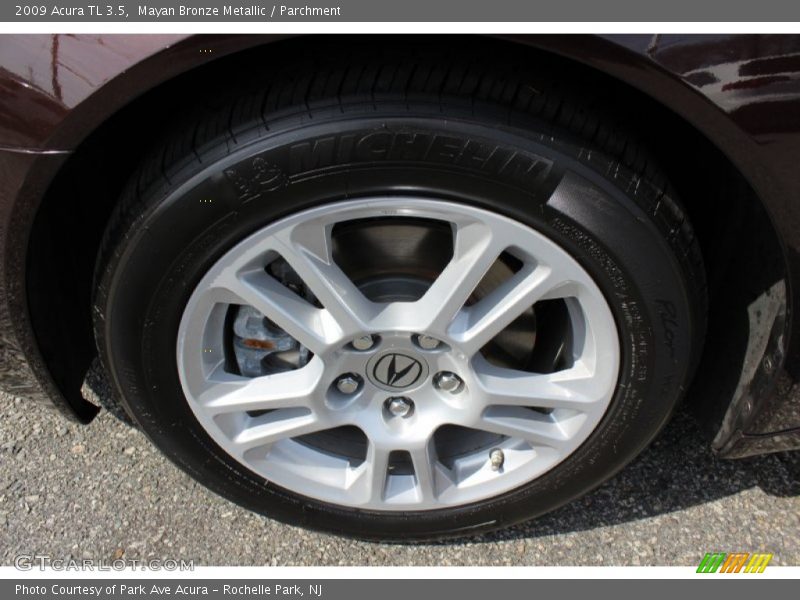 Mayan Bronze Metallic / Parchment 2009 Acura TL 3.5