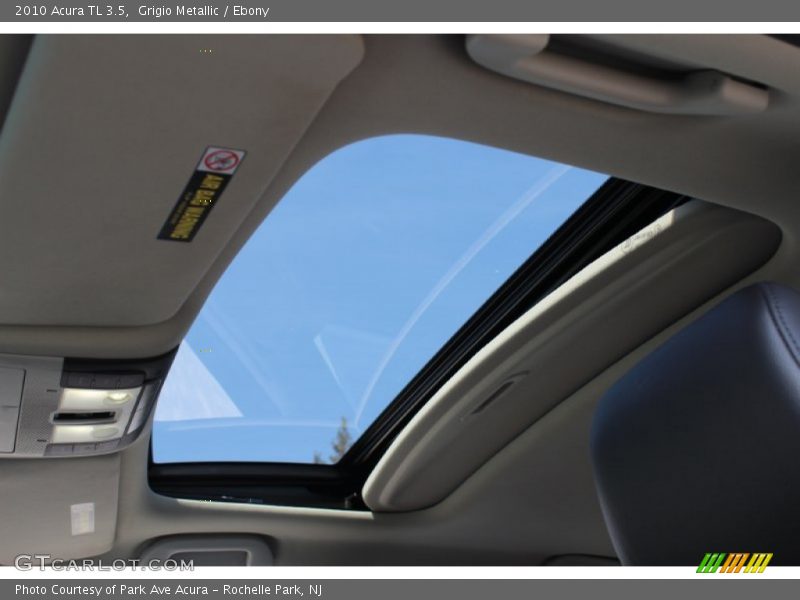 Grigio Metallic / Ebony 2010 Acura TL 3.5