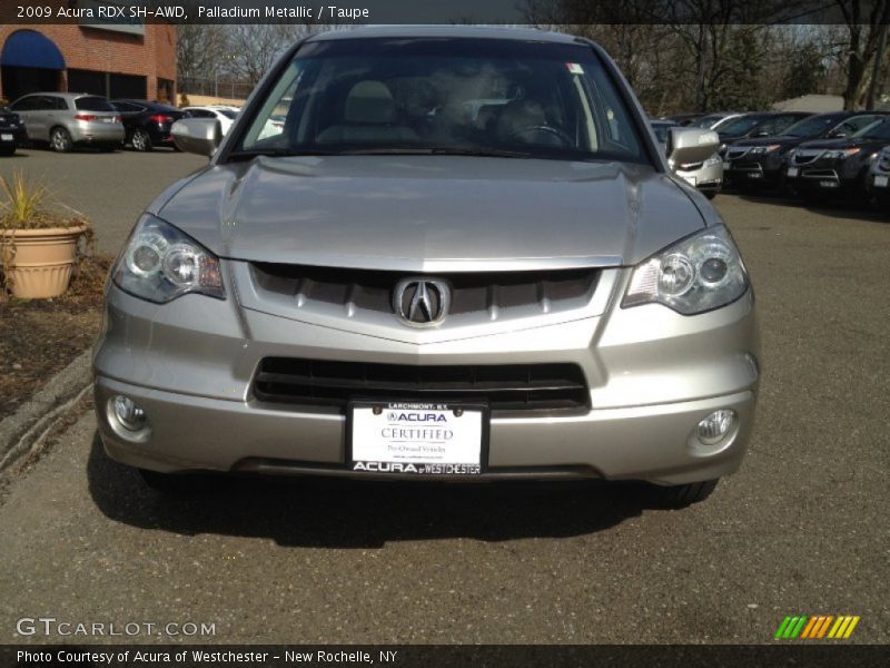 Palladium Metallic / Taupe 2009 Acura RDX SH-AWD