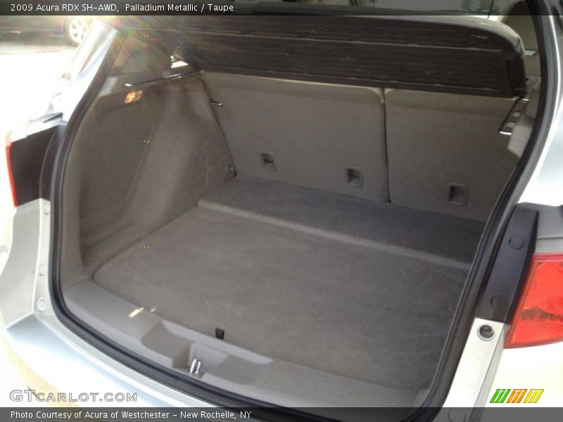 Palladium Metallic / Taupe 2009 Acura RDX SH-AWD
