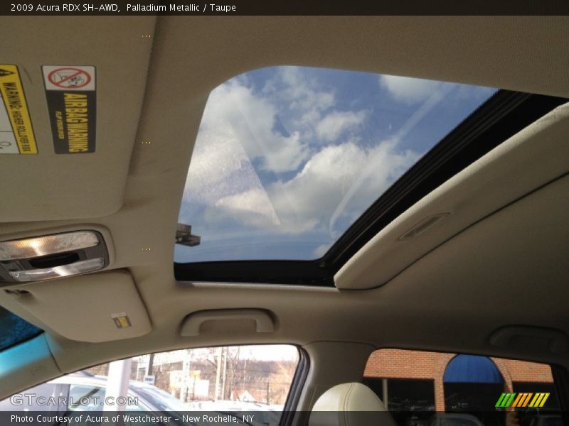 Palladium Metallic / Taupe 2009 Acura RDX SH-AWD