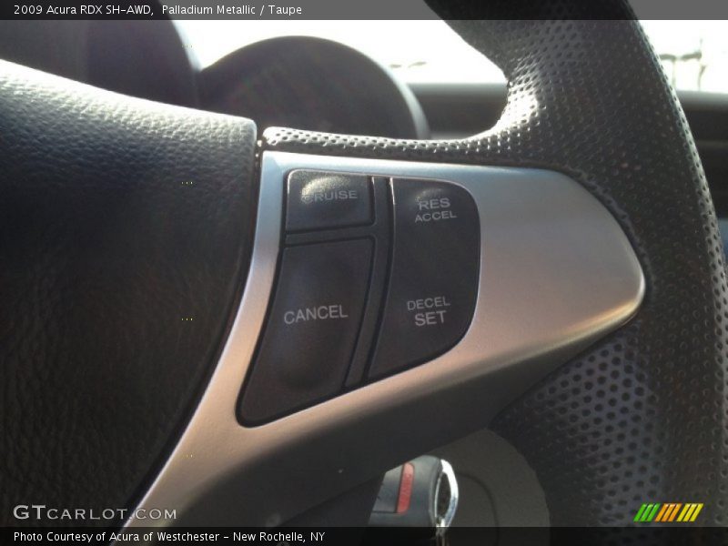 Palladium Metallic / Taupe 2009 Acura RDX SH-AWD