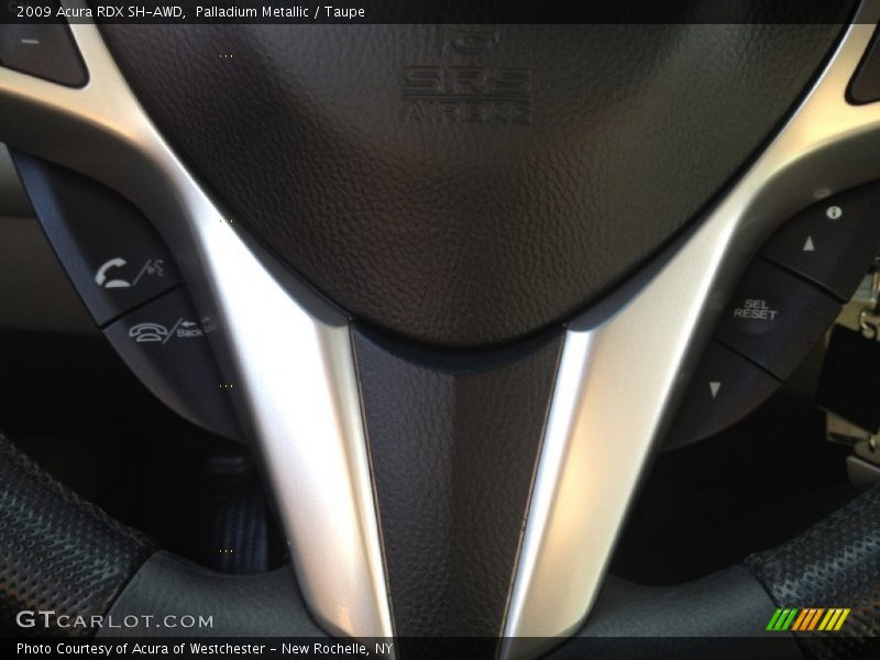 Palladium Metallic / Taupe 2009 Acura RDX SH-AWD