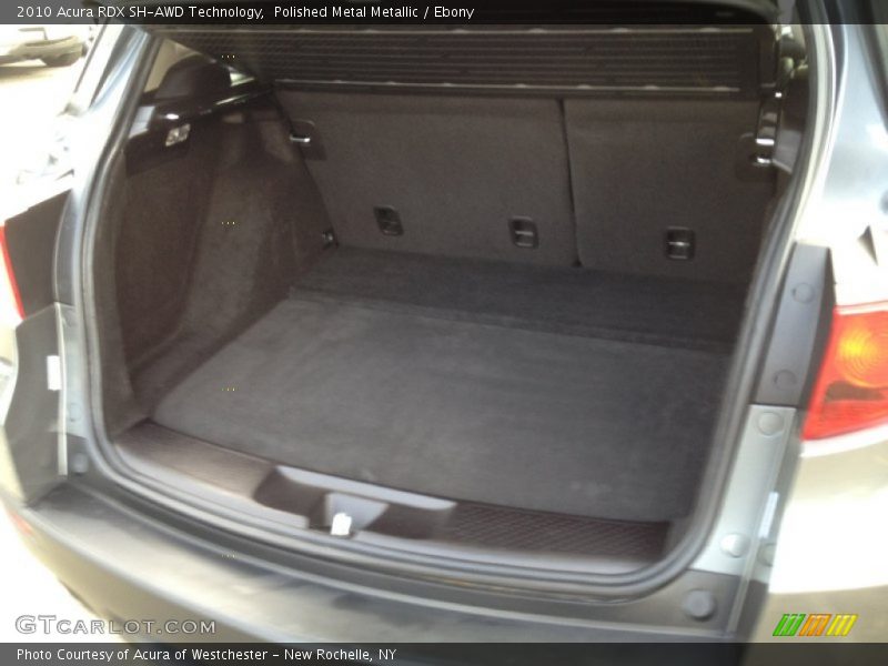 Polished Metal Metallic / Ebony 2010 Acura RDX SH-AWD Technology