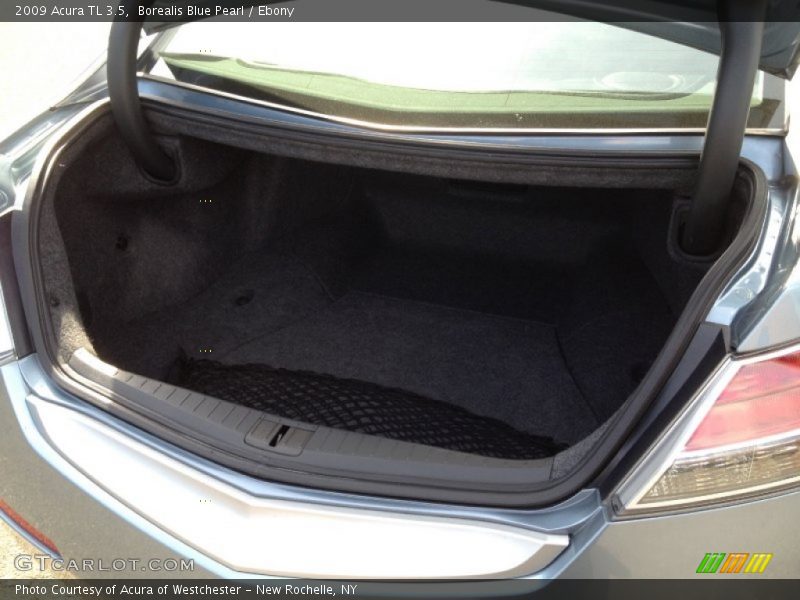 Borealis Blue Pearl / Ebony 2009 Acura TL 3.5