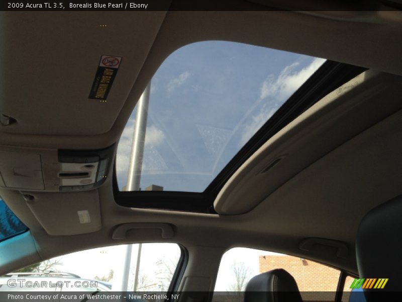 Borealis Blue Pearl / Ebony 2009 Acura TL 3.5