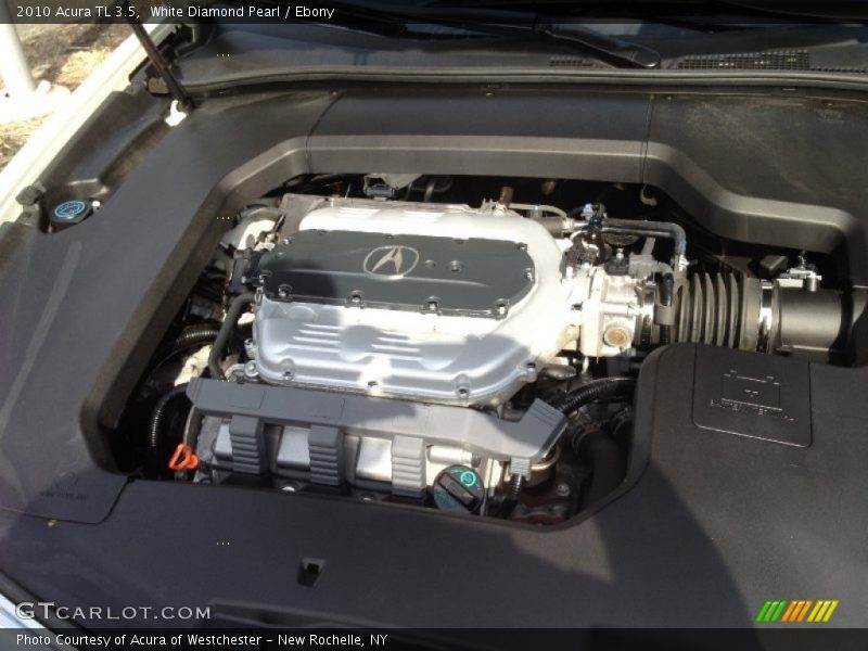 White Diamond Pearl / Ebony 2010 Acura TL 3.5