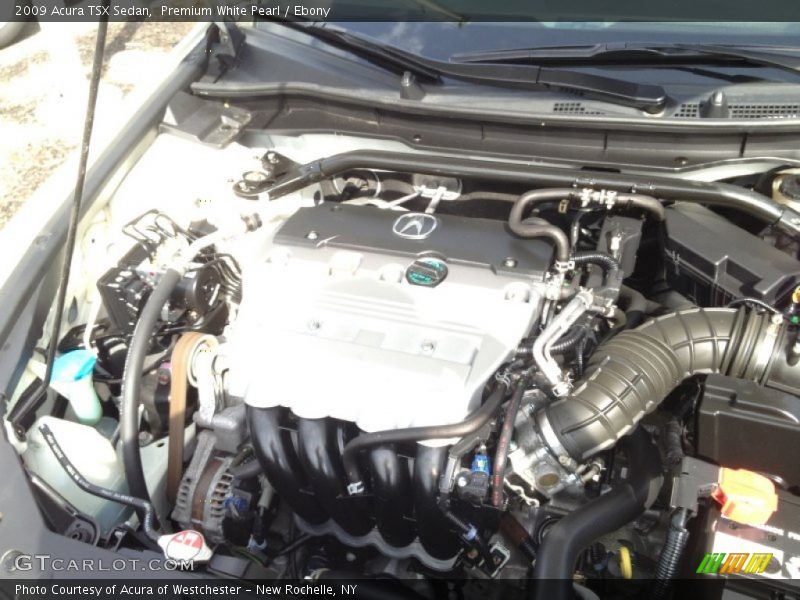 Premium White Pearl / Ebony 2009 Acura TSX Sedan