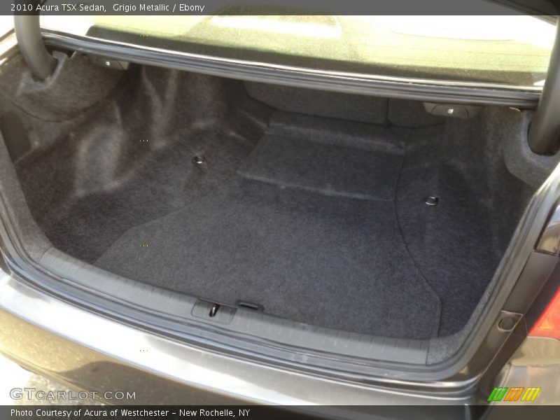 Grigio Metallic / Ebony 2010 Acura TSX Sedan