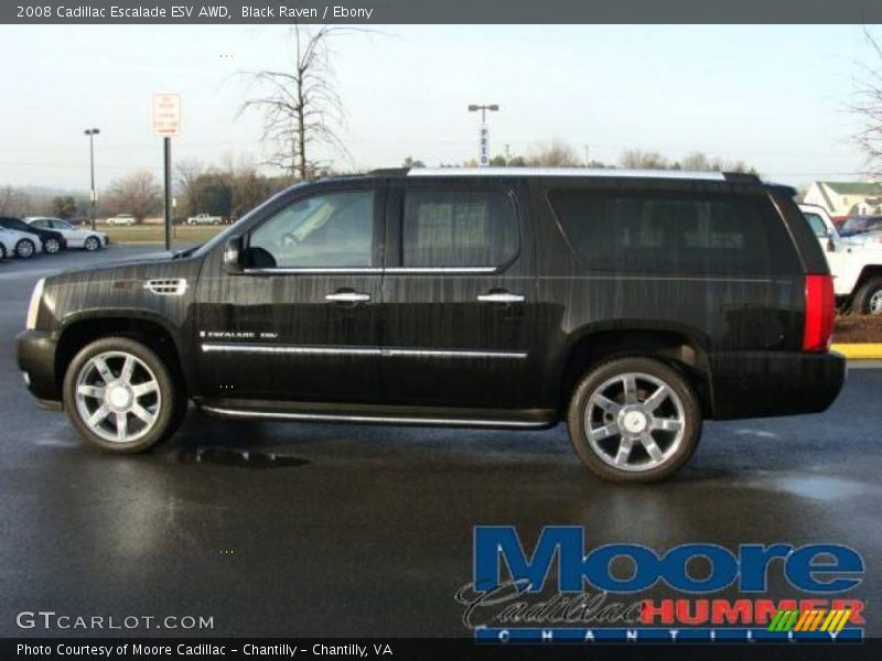 Black Raven / Ebony 2008 Cadillac Escalade ESV AWD