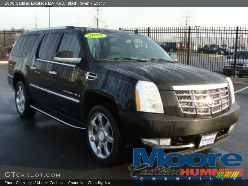 Black Raven / Ebony 2008 Cadillac Escalade ESV AWD
