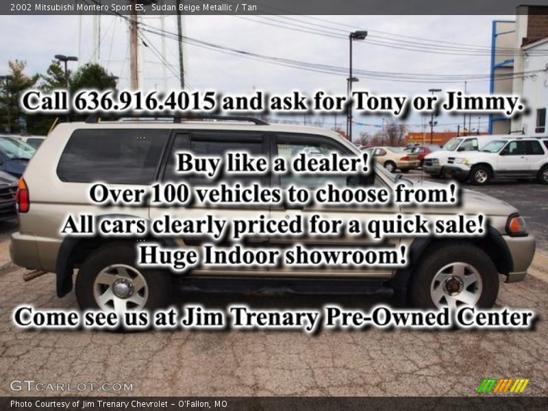 Sudan Beige Metallic / Tan 2002 Mitsubishi Montero Sport ES