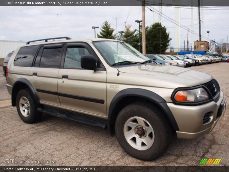  2002 Montero Sport ES Sudan Beige Metallic