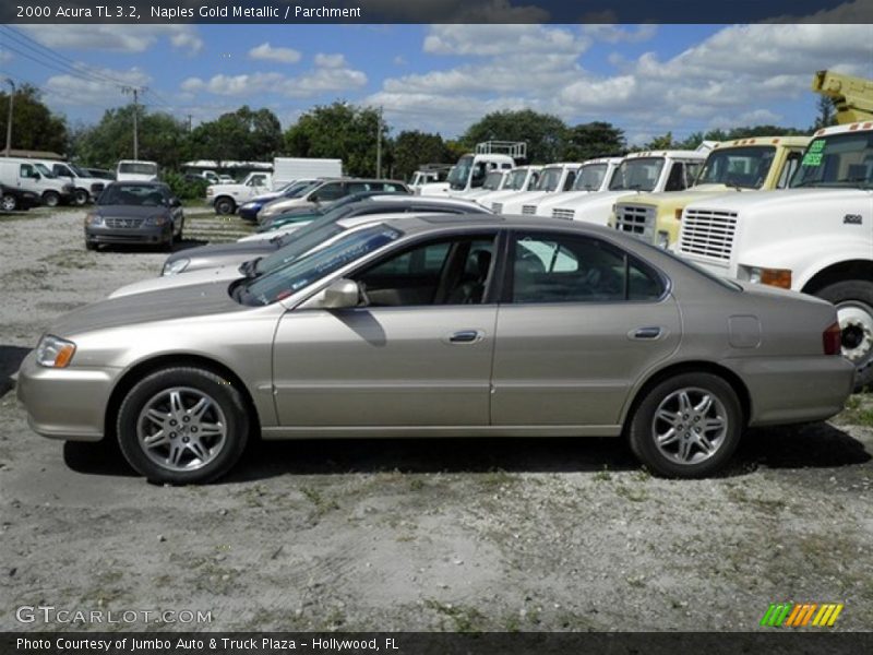 Naples Gold Metallic / Parchment 2000 Acura TL 3.2