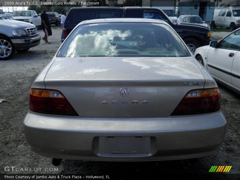 Naples Gold Metallic / Parchment 2000 Acura TL 3.2