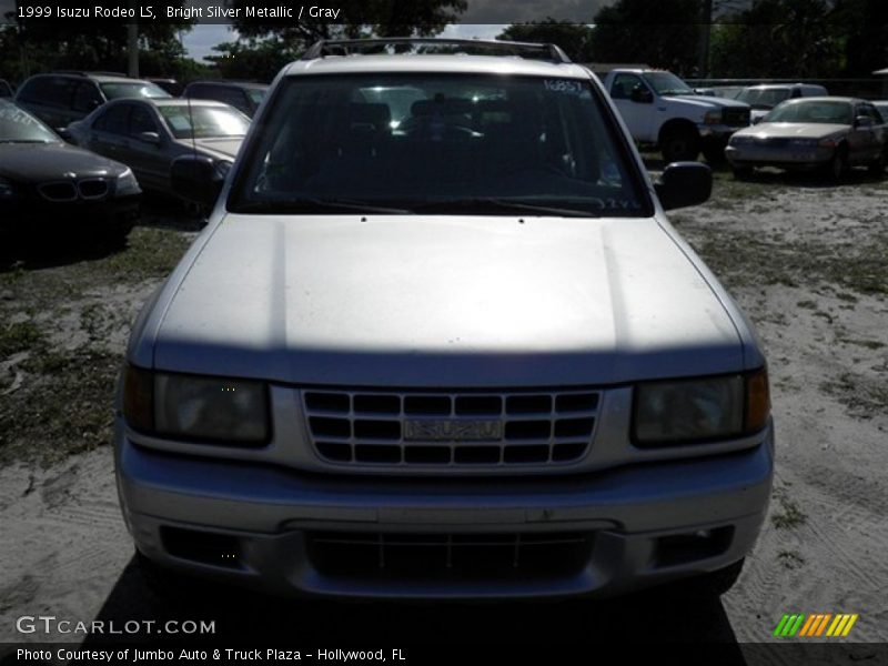 Bright Silver Metallic / Gray 1999 Isuzu Rodeo LS