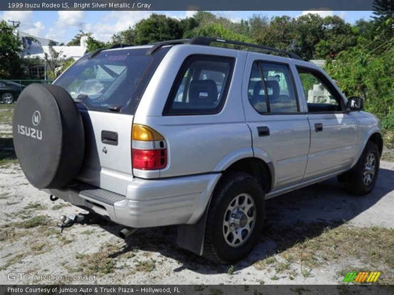 Bright Silver Metallic / Gray 1999 Isuzu Rodeo LS