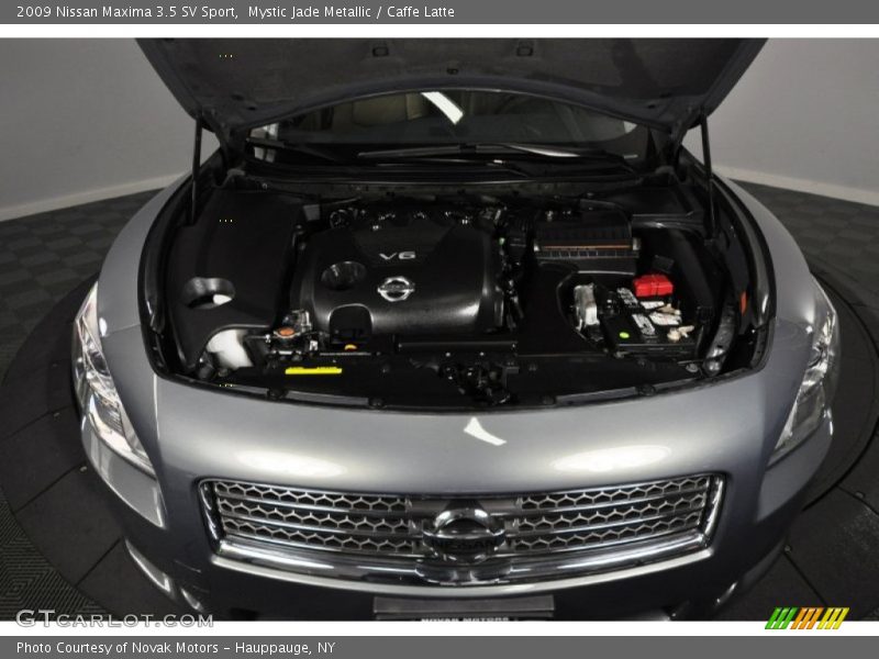 Mystic Jade Metallic / Caffe Latte 2009 Nissan Maxima 3.5 SV Sport