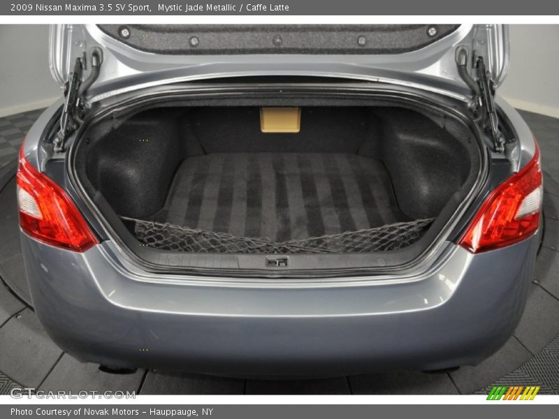 Mystic Jade Metallic / Caffe Latte 2009 Nissan Maxima 3.5 SV Sport