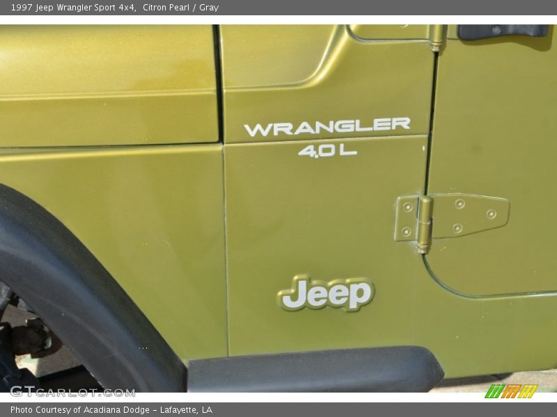 Color Sample of 1997 Wrangler Sport 4x4