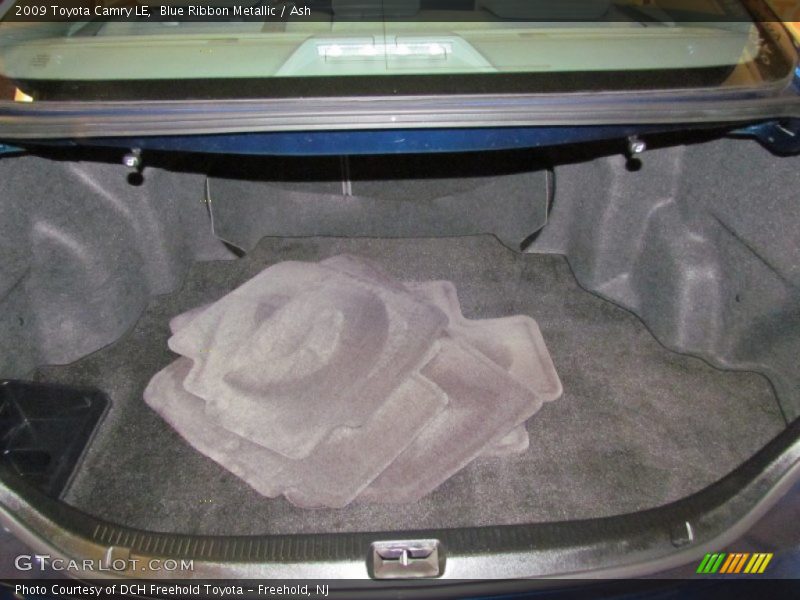 Blue Ribbon Metallic / Ash 2009 Toyota Camry LE