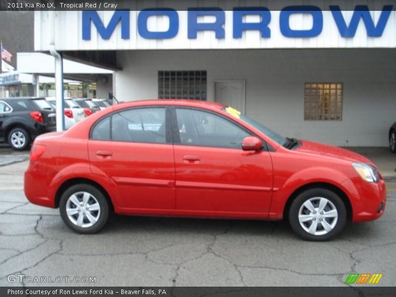 Tropical Red / Gray 2011 Kia Rio LX