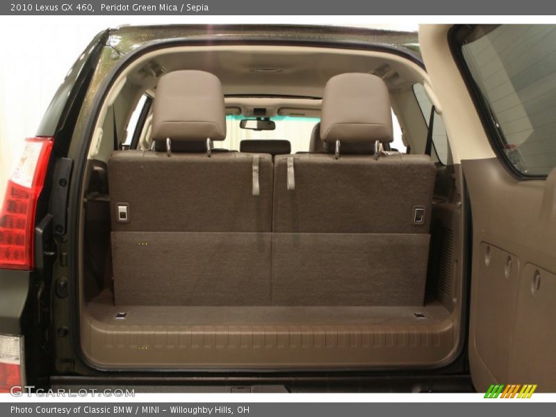 Peridot Green Mica / Sepia 2010 Lexus GX 460