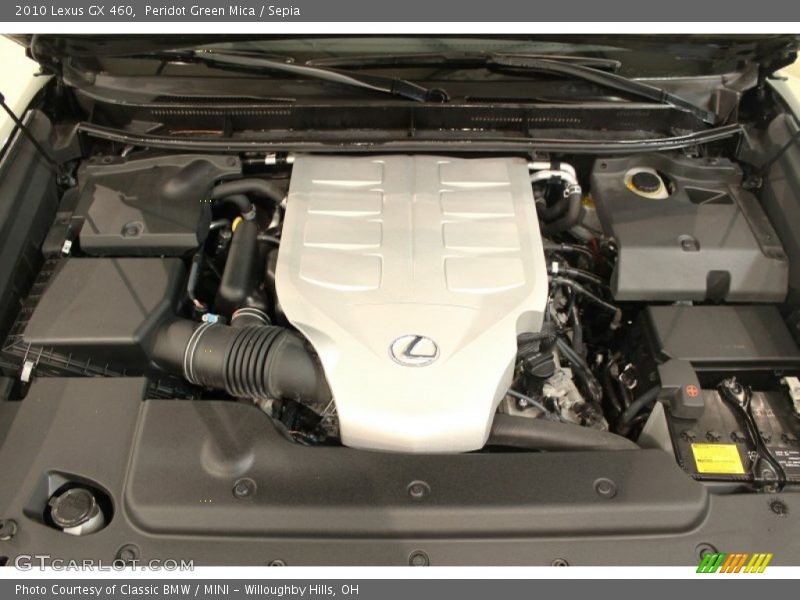 Peridot Green Mica / Sepia 2010 Lexus GX 460