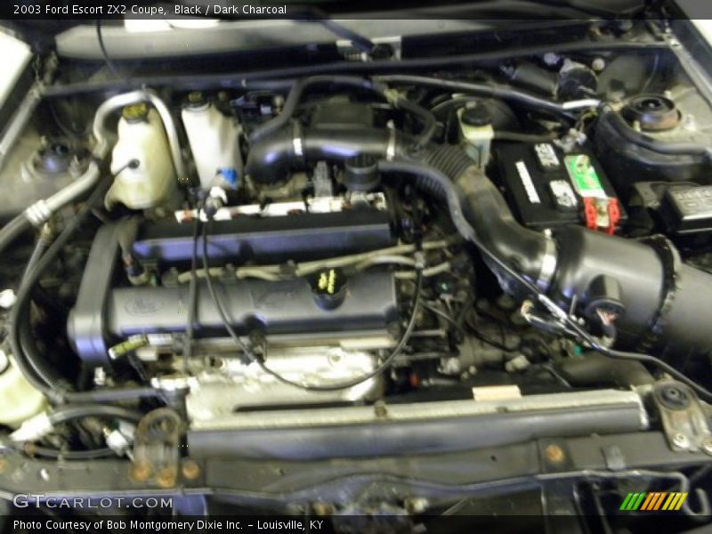 Black / Dark Charcoal 2003 Ford Escort ZX2 Coupe
