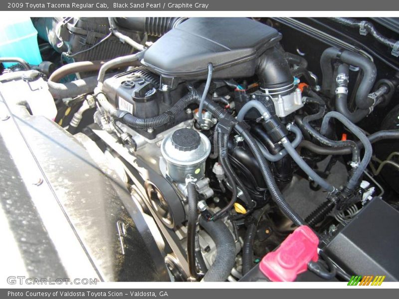 Black Sand Pearl / Graphite Gray 2009 Toyota Tacoma Regular Cab
