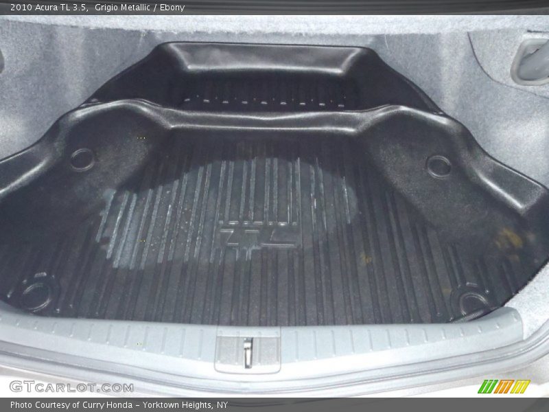 Grigio Metallic / Ebony 2010 Acura TL 3.5