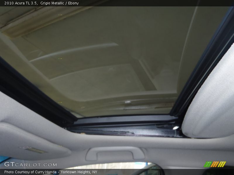 Grigio Metallic / Ebony 2010 Acura TL 3.5