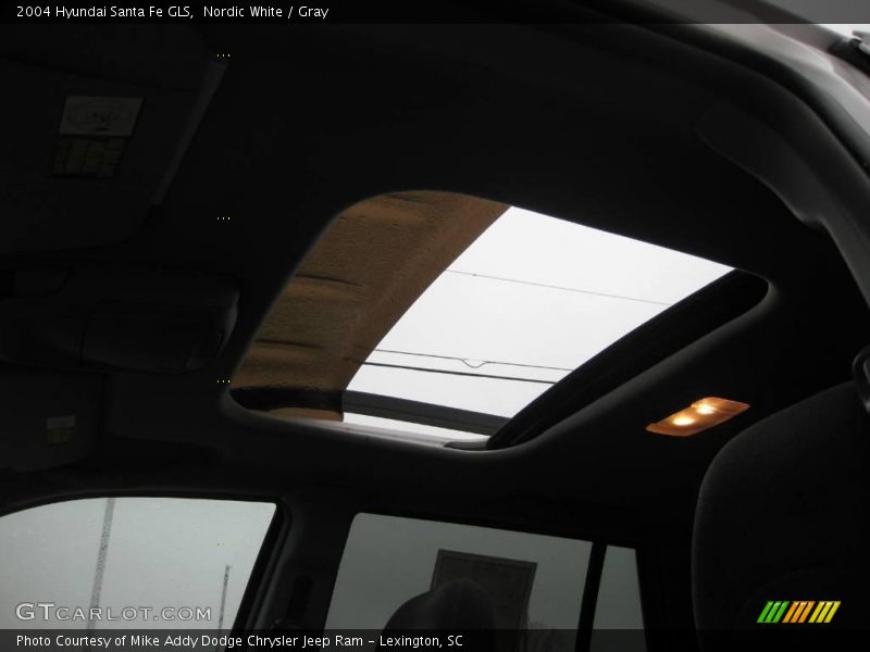 Nordic White / Gray 2004 Hyundai Santa Fe GLS