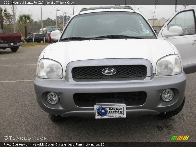 Nordic White / Gray 2004 Hyundai Santa Fe GLS