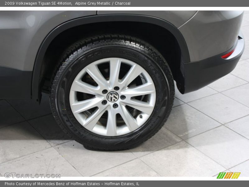 Alpine Grey Metallic / Charcoal 2009 Volkswagen Tiguan SE 4Motion