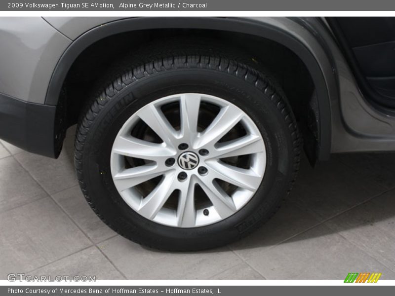 Alpine Grey Metallic / Charcoal 2009 Volkswagen Tiguan SE 4Motion