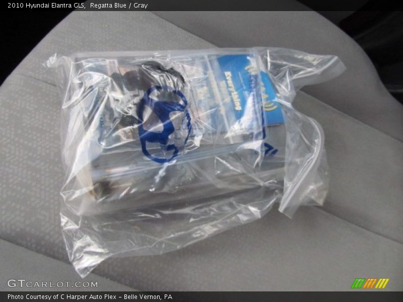Regatta Blue / Gray 2010 Hyundai Elantra GLS